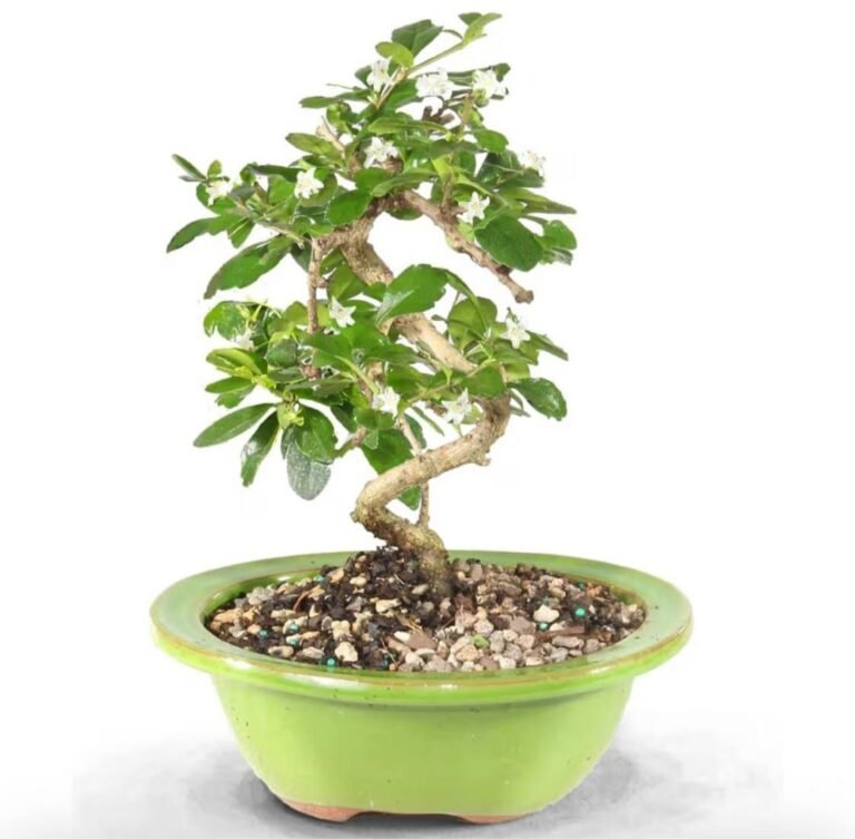 WhatsApp Image 2026-04-29 at 04.48