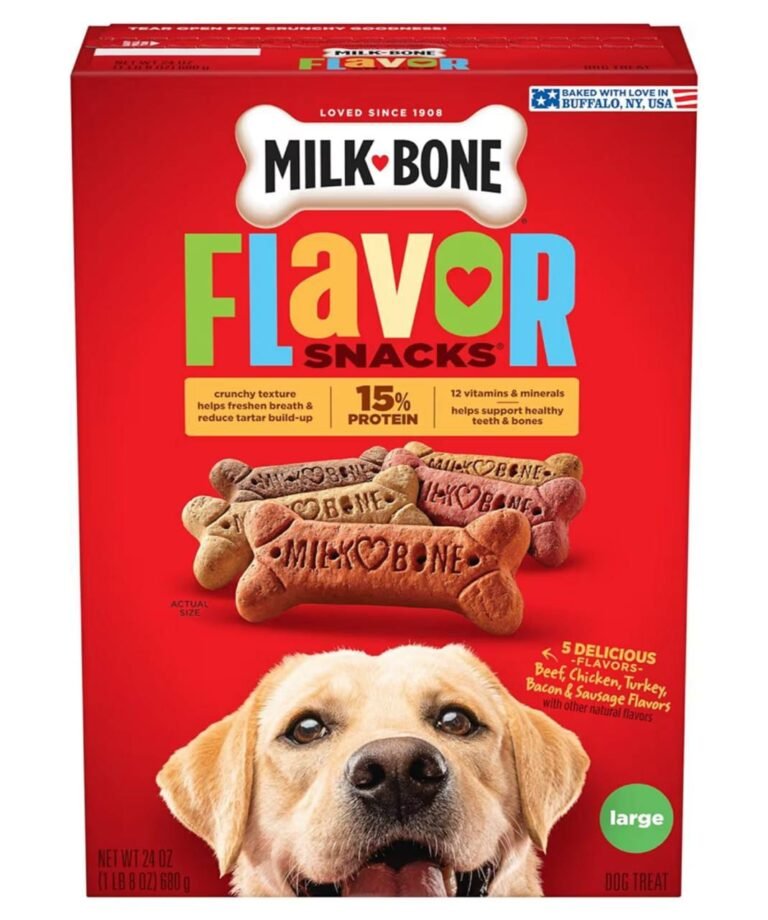 WhatsApp Image 2026-05-01 at 00.16