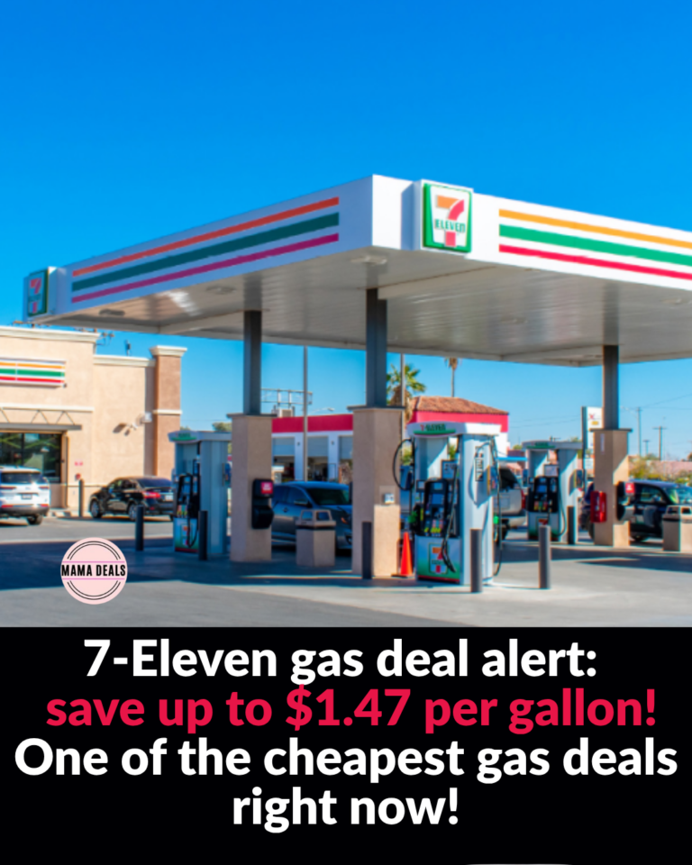 copy of copy of copy of copy of copy of copy of copy of copy of copy of copy of copy of copy of copy of copy of copy of beige and brown elegant new collection instagram post portrait ( 1080x1350 p