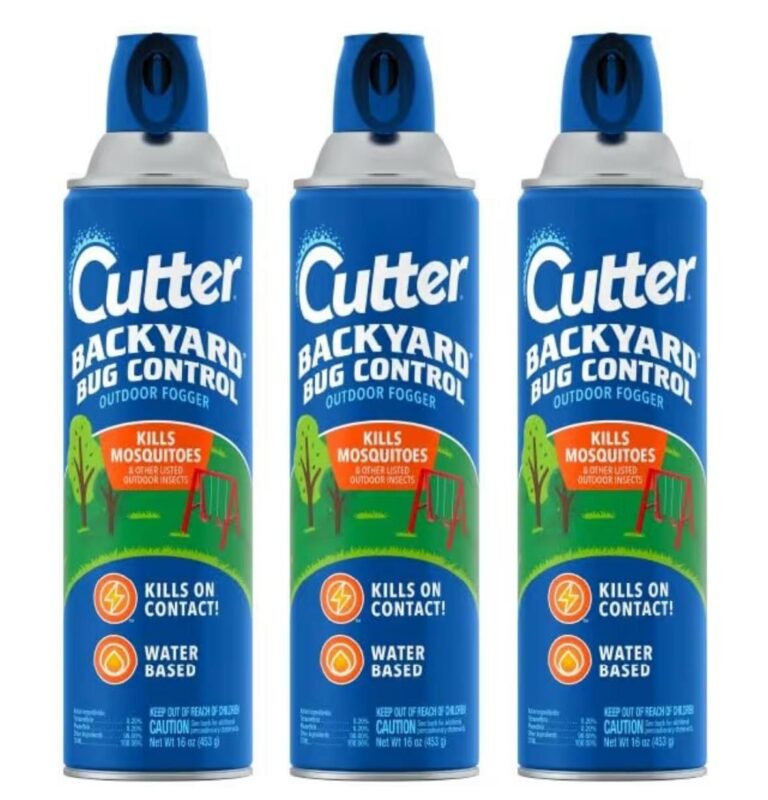 WhatsApp Image 2026-05-21 at 03.58
